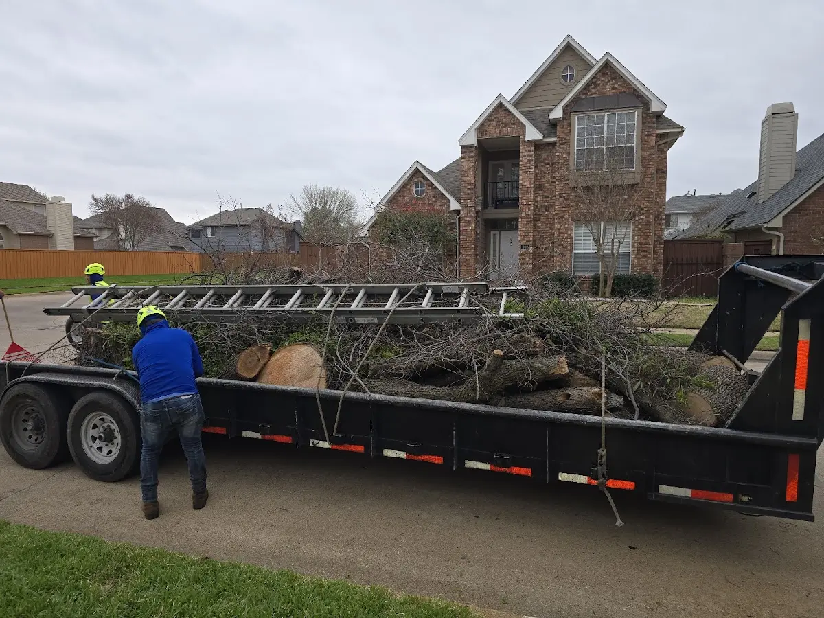Expert Tree Removal with proper safety equipment in Mc Neal